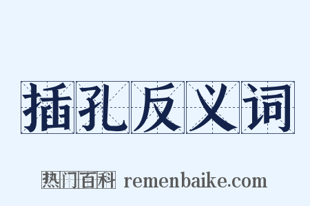 插孔反义词是什么意思的图片